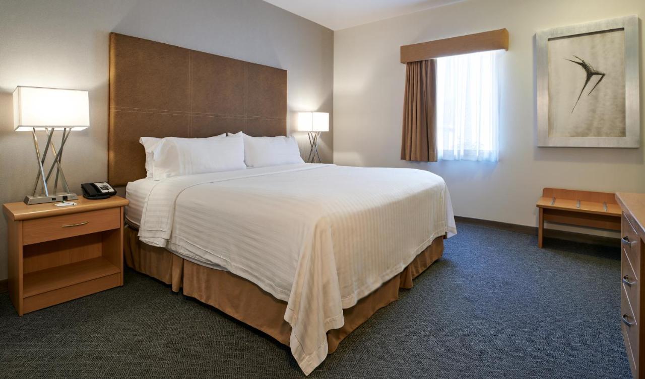 Holiday Inn Hotel & Suites Chihuahua By Ihg Exterior foto